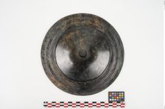 Foto von Bronzephalere (NHMW-PRAE-025107)